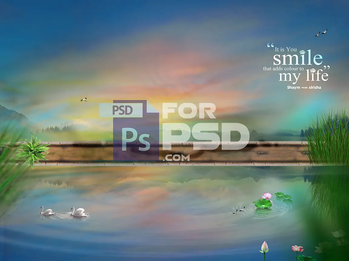 Image Preview